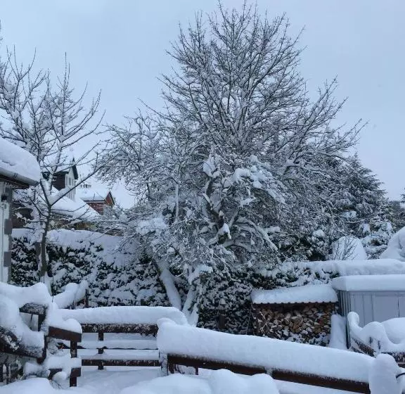 Hotel Ardlogie Guest House