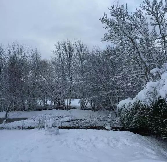 Hotel Ardlogie Guest House