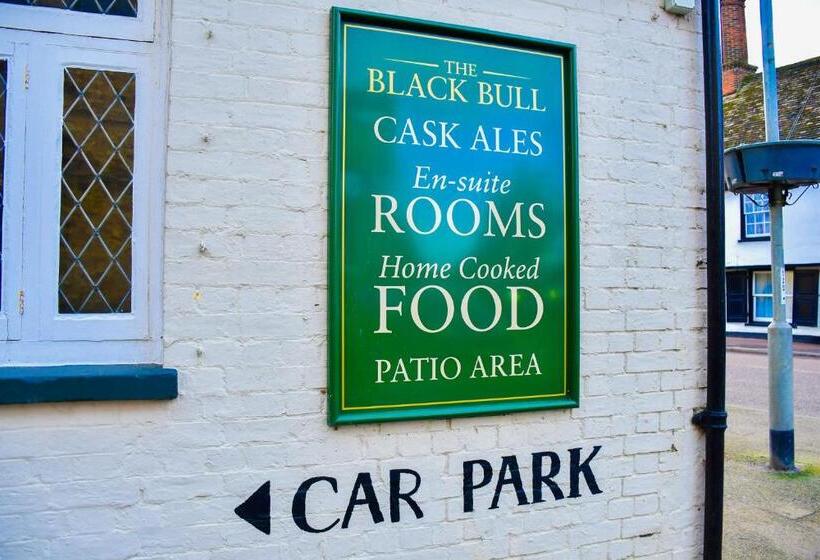 בית מלון כפרי Black Bull Godmanchester