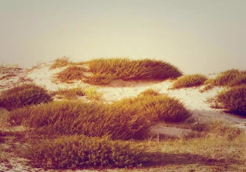 Le Grand Hotel De La Plage