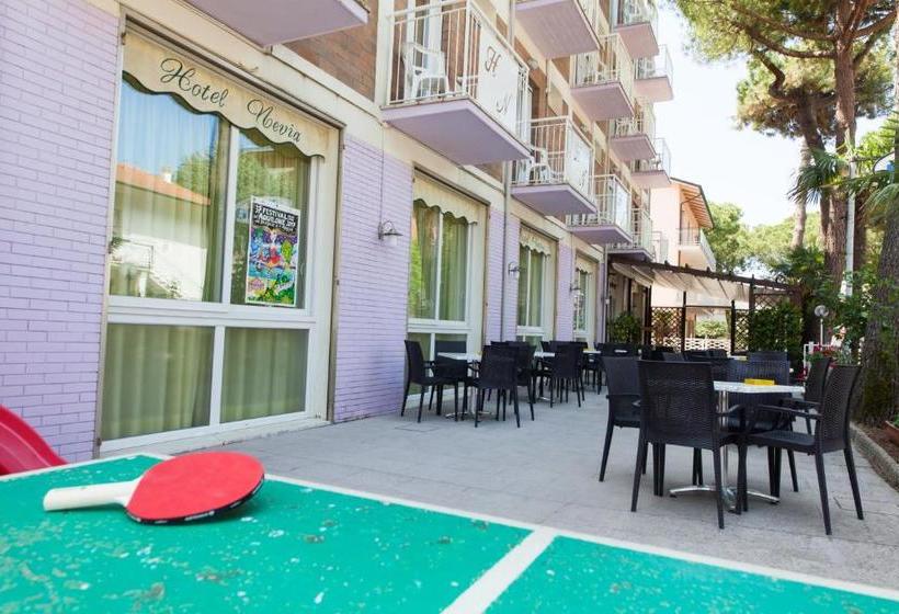 בית מלון כפרי Nevia