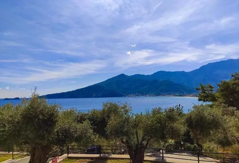 Hotel Celeste Golden Beach