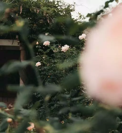 هتل The Lawson Riverside Suites