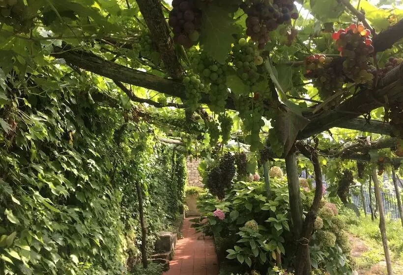 Residence Le Villette