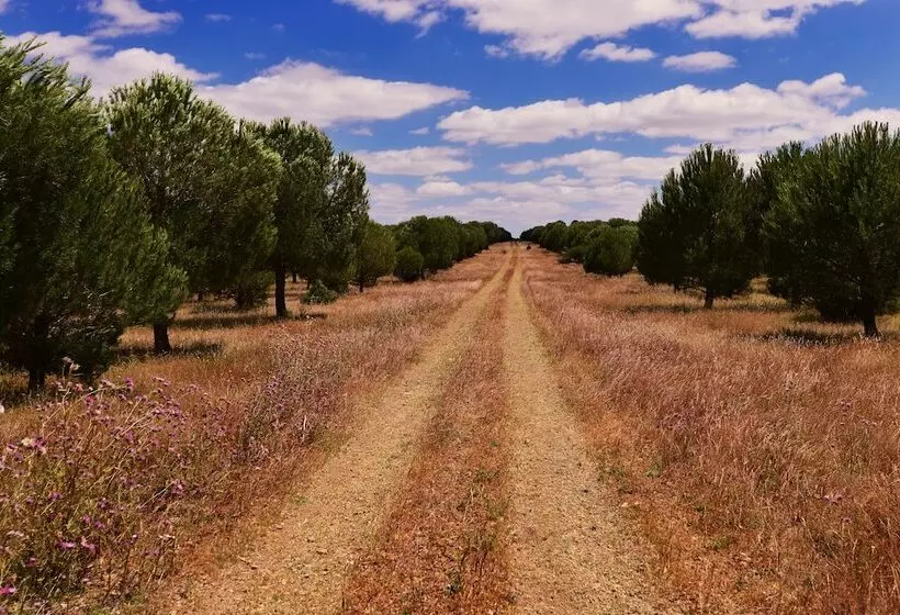 ホテル Sesmarias Turismo Rural & Spa