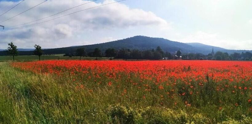 호텔 Landgasthof Büttel