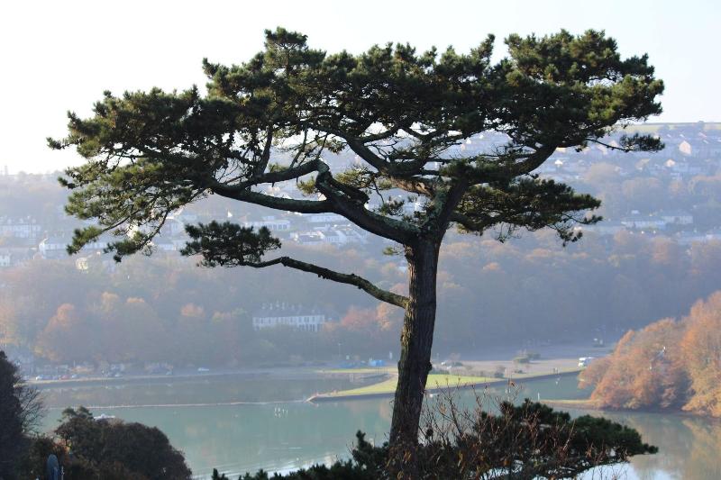 Bed and Breakfast Commonwood Manor