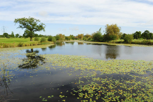 فندق Magnolia Park , Golf & Country Club