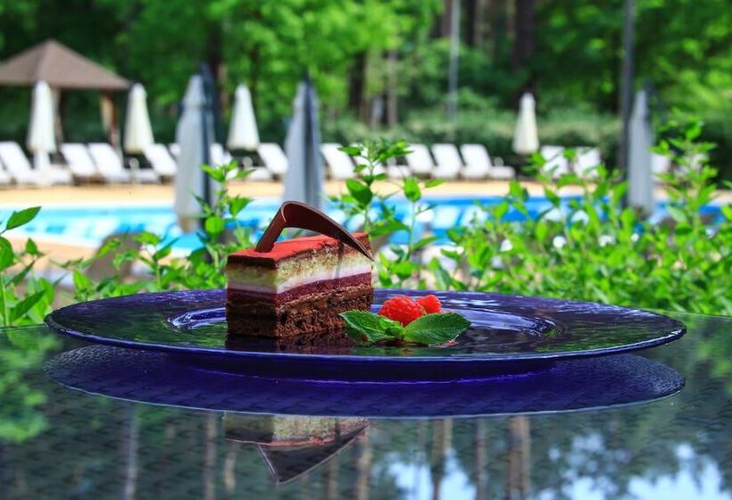 هتل Grand Admiral Resort & Spa