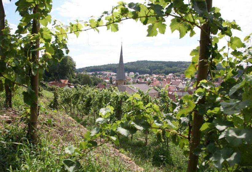 호텔 Leo Muhlhausen