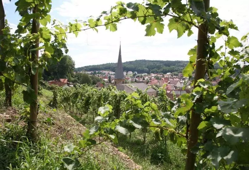 Отель Leo Muhlhausen