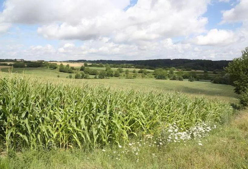 Отель Leo Muhlhausen