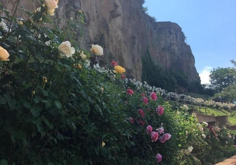 בית מלון כפרי Misia Country Resort & Spa