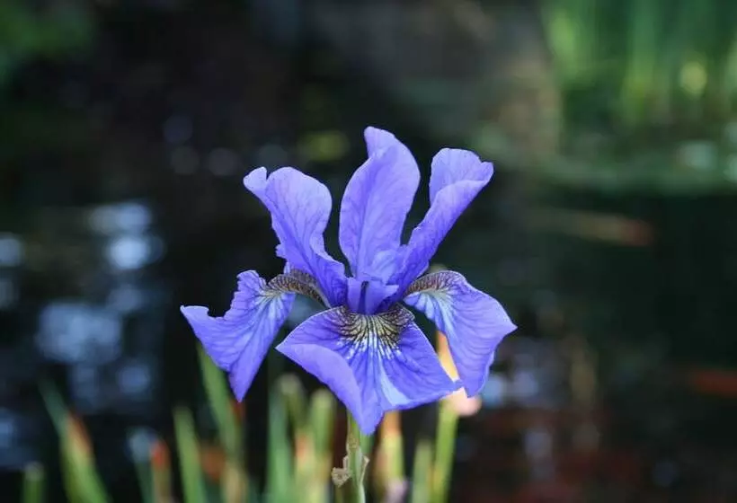 호텔 Pleasant Bay Village Resort