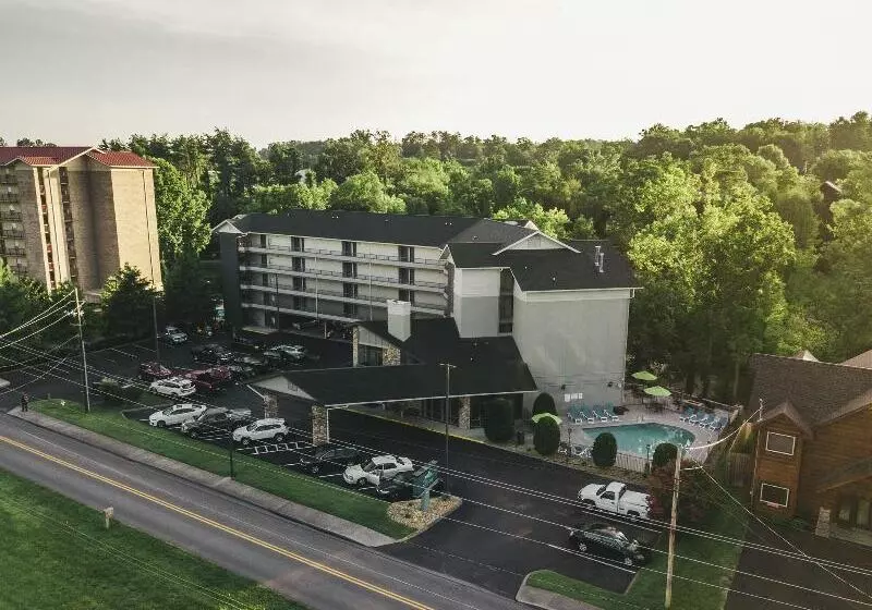 酒店 Twin Mountain Inn & Suites