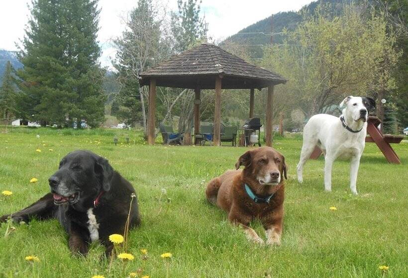 فندق على الطريق Clark Fork Lodge