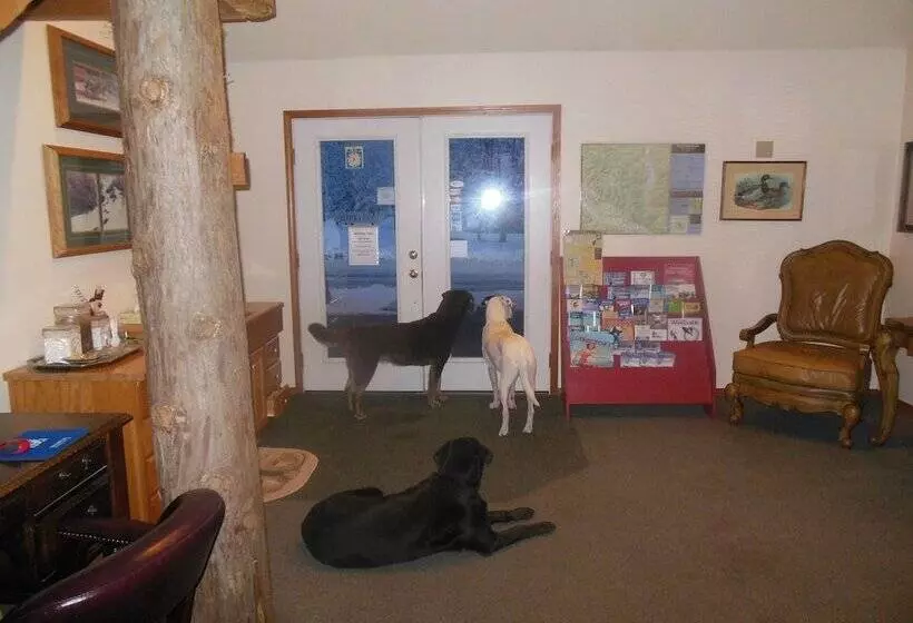 Motel Clark Fork Lodge