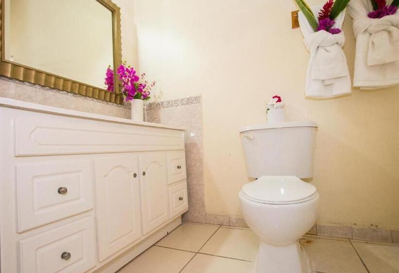 پانسیون Connie's Comfort Suites