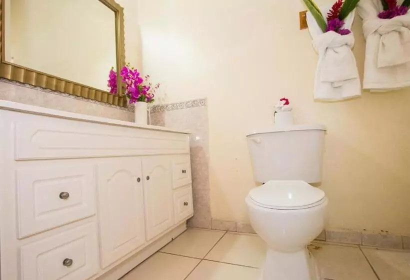 پانسیون Connie's Comfort Suites