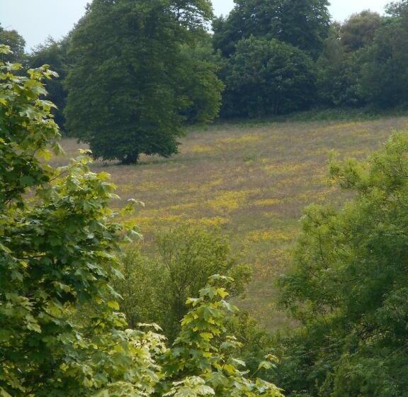 ペンション Diamond Hill Country House