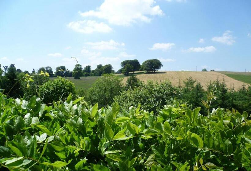 ペンション Diamond Hill Country House