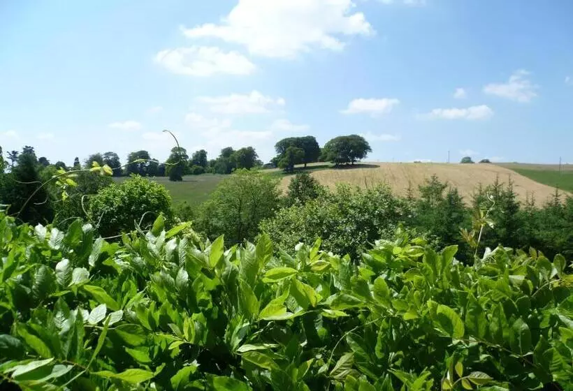 پانسیون Diamond Hill Country House