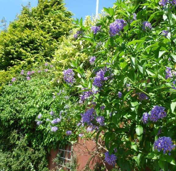 ペンション Diamond Hill Country House