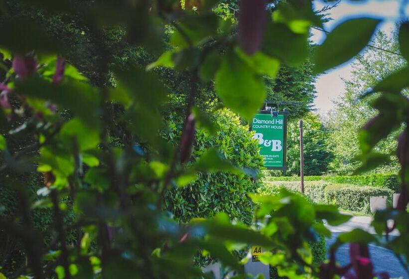 ペンション Diamond Hill Country House