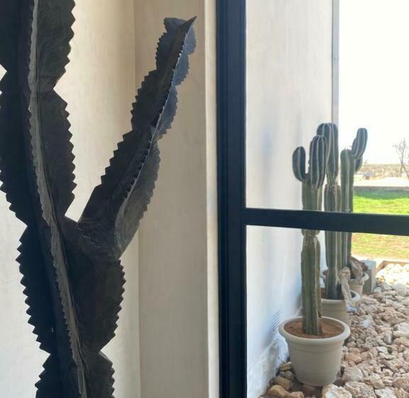 膳宿费 Britskraal Guest Farm