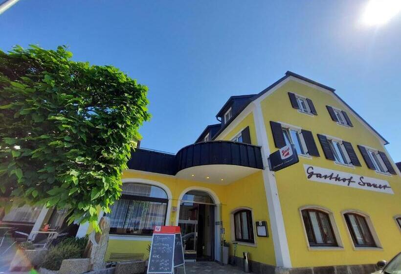 פנסיון Gasthof Sauer Gmbh