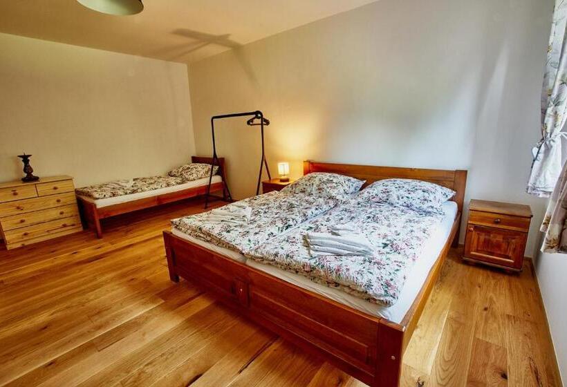 펜션 Vila Starý Mlýn