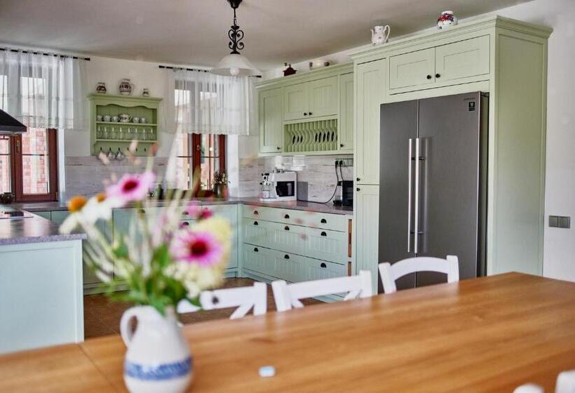 펜션 Vila Starý Mlýn