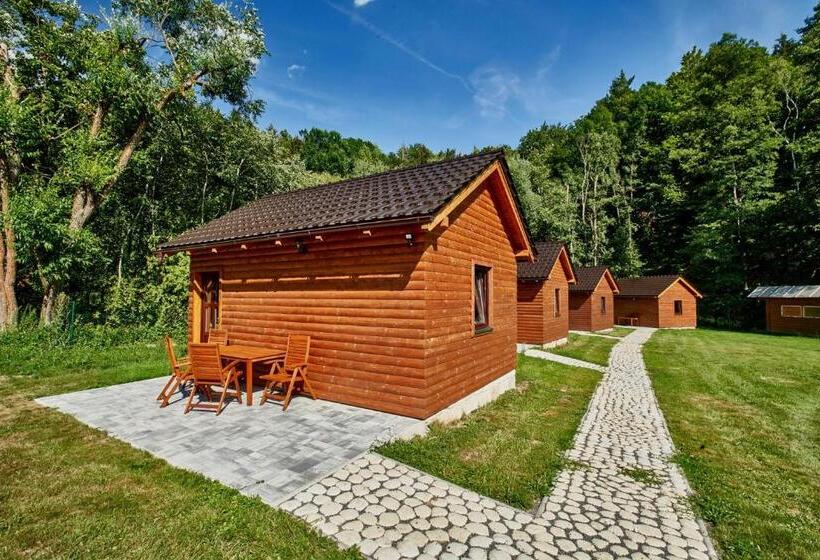 펜션 Vila Starý Mlýn