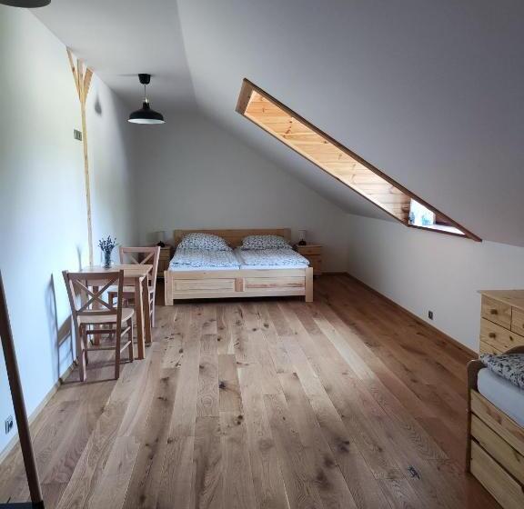 펜션 Vila Starý Mlýn