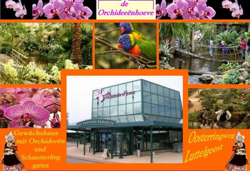 B&b Luttelhof, De Goedkoopste In De Regio !