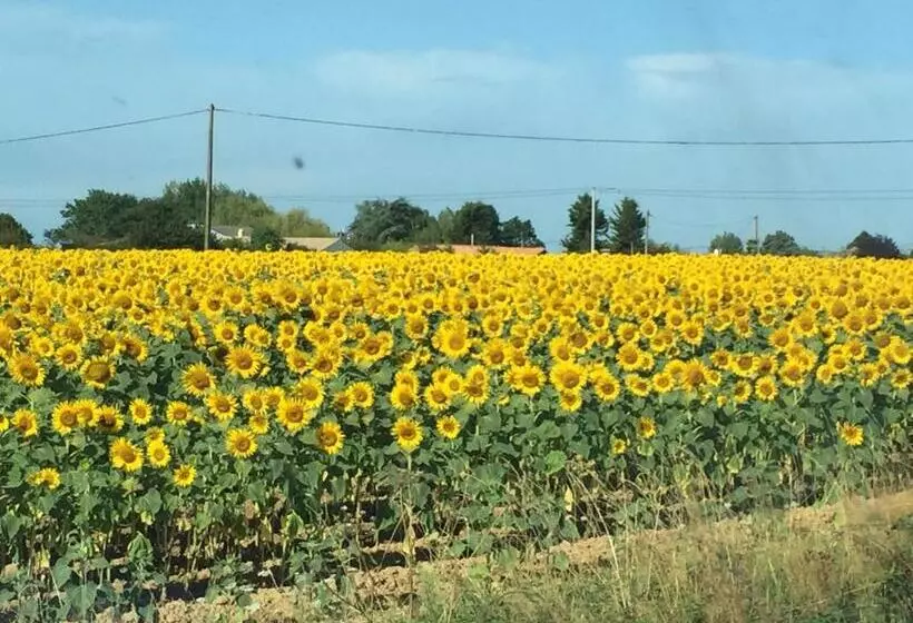 Aamiaismajoitus (B&B) Au Mas Retz De Jade