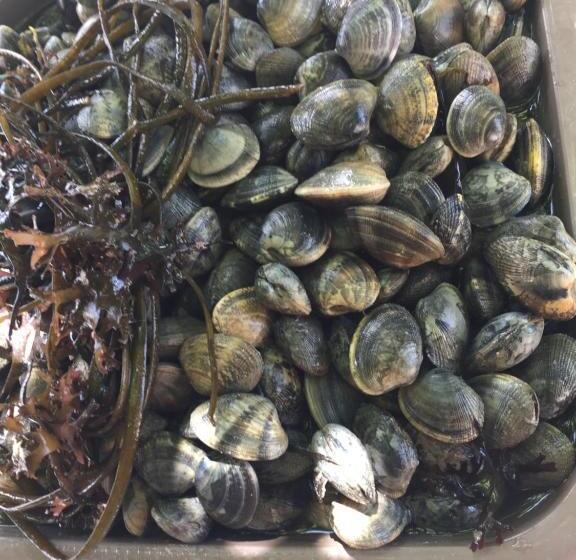 تختخواب و صبحانه Au Mas Retz De Jade