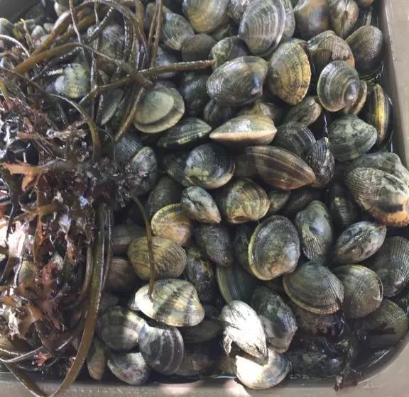 Aamiaismajoitus (B&B) Au Mas Retz De Jade