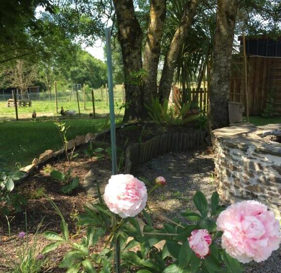 تختخواب و صبحانه Au Mas Retz De Jade