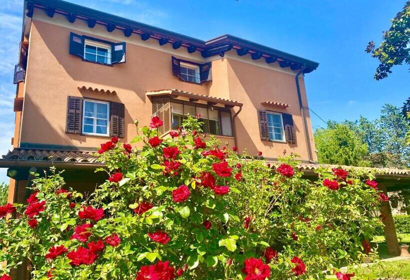 تختخواب و صبحانه Casa Bea