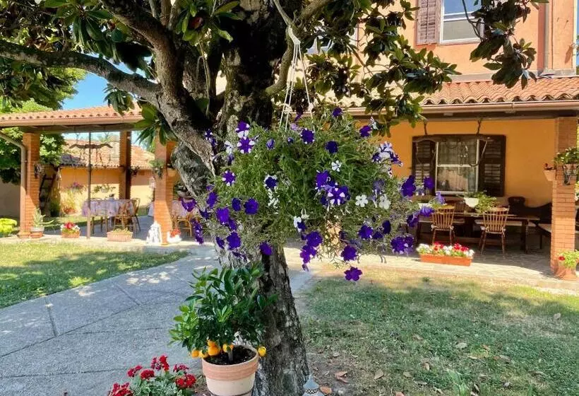 تختخواب و صبحانه Casa Bea