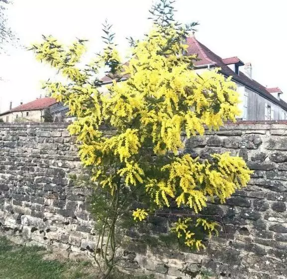 Aamiaismajoitus (B&B) Chez Zoiseau Et Zoiseautte