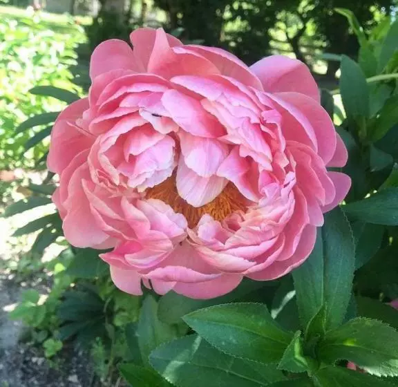 Aamiaismajoitus (B&B) Chez Zoiseau Et Zoiseautte