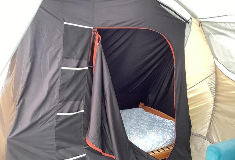 민박 La Maison Du Bonheur Chambre Zen