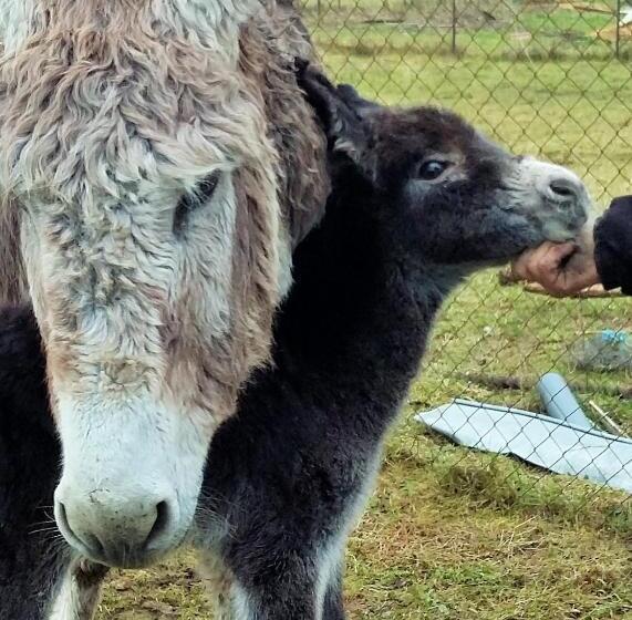 Bed and Breakfast Terroir De Familles