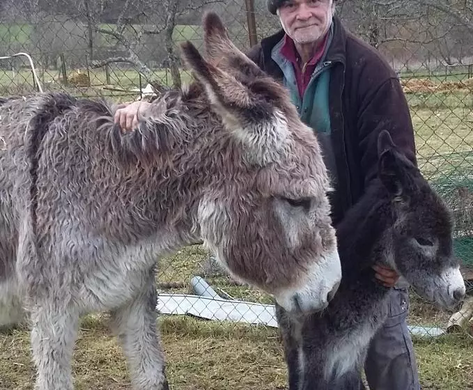 ベッドアンドブレックファースト Terroir De Familles