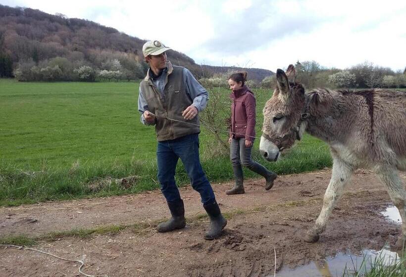 Bed and Breakfast Terroir De Familles