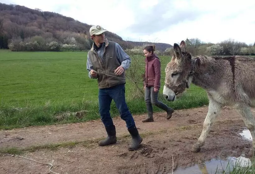 ベッドアンドブレックファースト Terroir De Familles