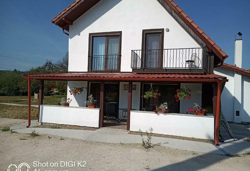 בית מלון כפרי Agropensiunea Răzvan