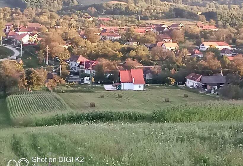 בית מלון כפרי Agropensiunea Răzvan